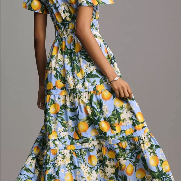 Anthropologie Dresses & Skirts - Excellent condition Anthropologie The Somerset Maxi Dress - size med iris blue